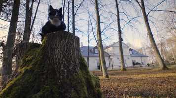 Free download The Magnificent Eight (Ośmiu wspaniałych)  trailer EN, English speaker video and edit with RedcoolMedia movie maker MovieStudio video editor online and AudioStudio audio editor onlin