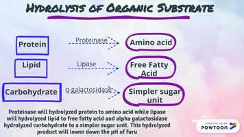 Free download The mechanism of fermentation of furu video and edit with RedcoolMedia movie maker MovieStudio video editor online and AudioStudio audio editor onlin