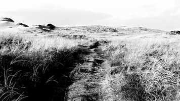 Free download The Modular Beat - Beksby video and edit with RedcoolMedia movie maker MovieStudio video editor online and AudioStudio audio editor onlin