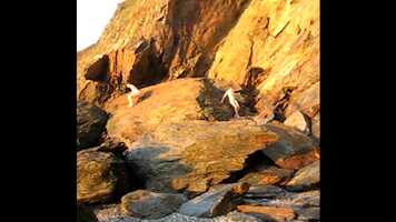 Free download THE MOON AND ITS SONS - IN DISCUSSION WITH NICK DIBBLE TRAILER video and edit with RedcoolMedia movie maker MovieStudio video editor online and AudioStudio audio editor onlin