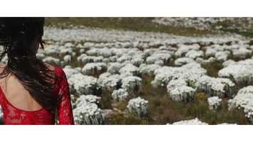 Free download The Moonrise Collection video and edit with RedcoolMedia movie maker MovieStudio video editor online and AudioStudio audio editor onlin