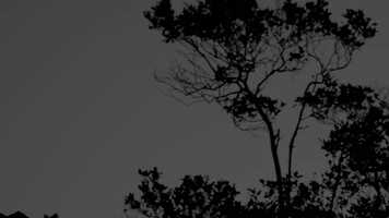 Free download The Mothers Breath video and edit with RedcoolMedia movie maker MovieStudio video editor online and AudioStudio audio editor onlin