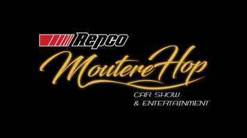 Free download The Moutere Hop 2020 - Announcement Trailer video and edit with RedcoolMedia movie maker MovieStudio video editor online and AudioStudio audio editor onlin