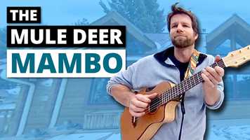 Free download The Mule Deer Mambo (360 Music Video) video and edit with RedcoolMedia movie maker MovieStudio video editor online and AudioStudio audio editor onlin