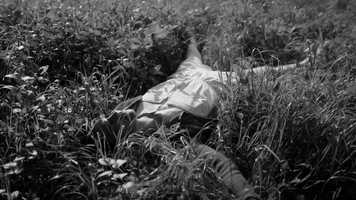 Free download THE NATIONAL - light years video and edit with RedcoolMedia movie maker MovieStudio video editor online and AudioStudio audio editor onlin