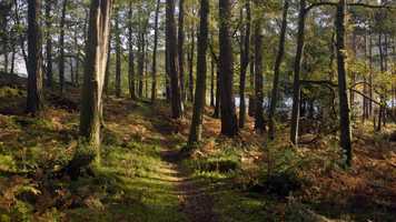 Free download The National Trust: 125 Years video and edit with RedcoolMedia movie maker MovieStudio video editor online and AudioStudio audio editor onlin