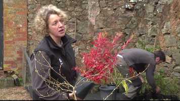 Free download The National Trust - BioSecurity staff information film video and edit with RedcoolMedia movie maker MovieStudio video editor online and AudioStudio audio editor onlin