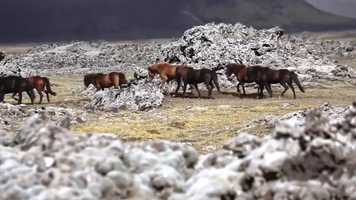 Free download The Nature -- Icelandic Horses Music Video video and edit with RedcoolMedia movie maker MovieStudio video editor online and AudioStudio audio editor onlin