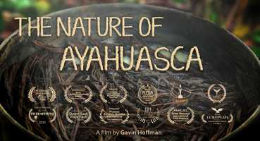 Free download The Nature of Ayahuasca - Trailer video and edit with RedcoolMedia movie maker MovieStudio video editor online and AudioStudio audio editor onlin