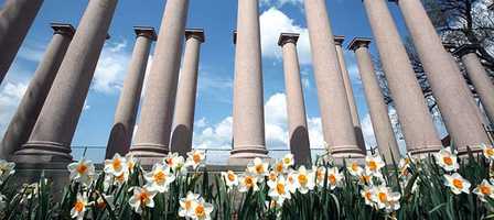 Free download The Network Webinar: Leading with Peace and Civility video and edit with RedcoolMedia movie maker MovieStudio video editor online and AudioStudio audio editor onlin