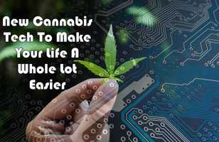 Free download The New Cannabis Tech - How Technology is Jumping on the Green Rush video and edit with RedcoolMedia movie maker MovieStudio video editor online and AudioStudio audio editor onlin