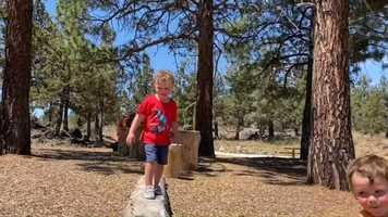 Free download Theo PNW video and edit with RedcoolMedia movie maker MovieStudio video editor online and AudioStudio audio editor onlin