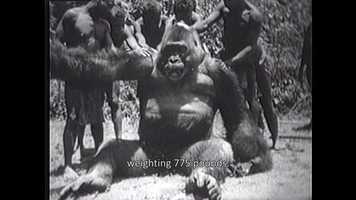 Free download The Orphan - Trailer video and edit with RedcoolMedia movie maker MovieStudio video editor online and AudioStudio audio editor onlin