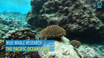 Free download The Pacific Oceanscape video and edit with RedcoolMedia movie maker MovieStudio video editor online and AudioStudio audio editor onlin