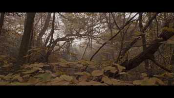 Free download The Path (Trailer) video and edit with RedcoolMedia movie maker MovieStudio video editor online and AudioStudio audio editor onlin