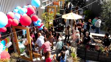 Free download The People of Sacramento x R Street Animals  - Daniel Vaccaro Edit video and edit with RedcoolMedia movie maker MovieStudio video editor online and AudioStudio audio editor onlin