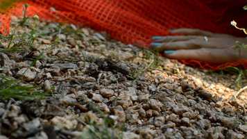 Free download The Propelled Animals: Esther (version 2) video and edit with RedcoolMedia movie maker MovieStudio video editor online and AudioStudio audio editor onlin