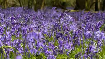 Free download The Property Filming Company Showreel 2017 video and edit with RedcoolMedia movie maker MovieStudio video editor online and AudioStudio audio editor onlin