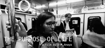 Free download THE PURPOSE OF LIFE - 2020 - Trailer video and edit with RedcoolMedia movie maker MovieStudio video editor online and AudioStudio audio editor onlin