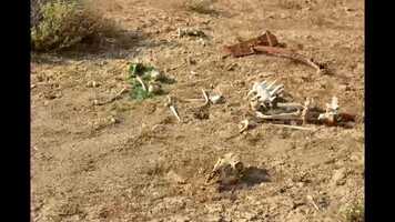 Free download The Reclamation of Bone Mesa by Jacob Docksey video and edit with RedcoolMedia movie maker MovieStudio video editor online and AudioStudio audio editor onlin