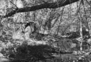 Free download THE RED HOUSE video & audio upgrade video and edit with RedcoolMedia movie maker MovieStudio video editor online and AudioStudio audio editor onlin