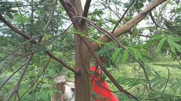 Free download The red shoot video and edit with RedcoolMedia movie maker MovieStudio video editor online and AudioStudio audio editor onlin