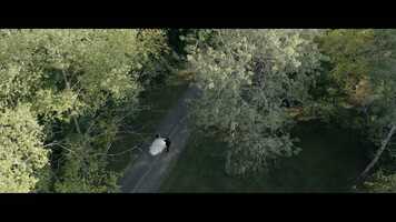 Free download Theresa  Stephen wedding short film video and edit with RedcoolMedia movie maker MovieStudio video editor online and AudioStudio audio editor onlin