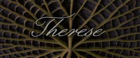 Free download Therese - Opening video and edit with RedcoolMedia movie maker MovieStudio video editor online and AudioStudio audio editor onlin