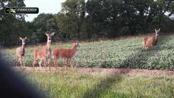 Free download The Rival - Season 4 - Episode 1 - Game 6 video and edit with RedcoolMedia movie maker MovieStudio video editor online and AudioStudio audio editor onlin