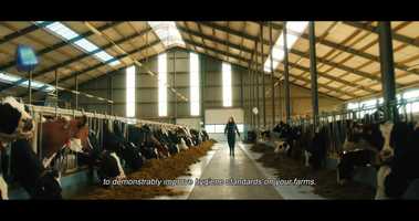 Free download The Schippers Group - Brand Film (social bestand).mp4 video and edit with RedcoolMedia movie maker MovieStudio video editor online and AudioStudio audio editor onlin