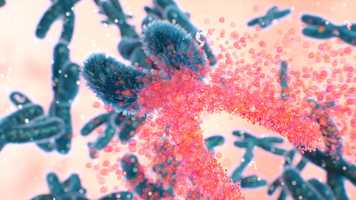 Free download The science behind our work video and edit with RedcoolMedia movie maker MovieStudio video editor online and AudioStudio audio editor onlin