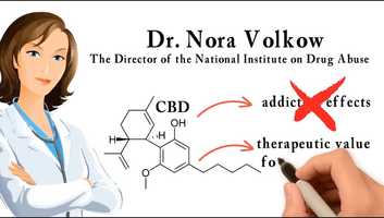 Free download The Science of Cannabis Education video and edit with RedcoolMedia movie maker MovieStudio video editor online and AudioStudio audio editor onlin