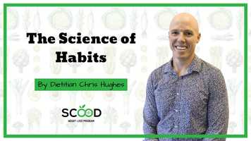 Free download The Science of Habits video and edit with RedcoolMedia movie maker MovieStudio video editor online and AudioStudio audio editor onlin