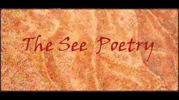 Free download The See Poetry video and edit with RedcoolMedia movie maker MovieStudio video editor online and AudioStudio audio editor onlin