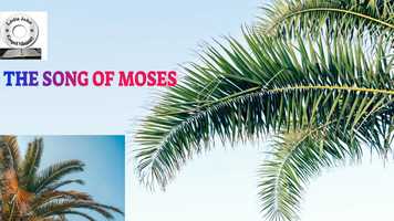Free download THE SONG OF MOSES1 video and edit with RedcoolMedia movie maker MovieStudio video editor online and AudioStudio audio editor onlin