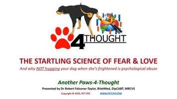 Free download The Startling Science of Fear  Love video and edit with RedcoolMedia movie maker MovieStudio video editor online and AudioStudio audio editor onlin