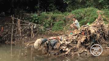 Free download The Story of Plastic Finalist Trailer - Changing Planet video and edit with RedcoolMedia movie maker MovieStudio video editor online and AudioStudio audio editor onlin