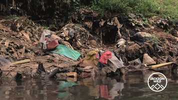 Free download The Story of Plastic Finalist Trailer video and edit with RedcoolMedia movie maker MovieStudio video editor online and AudioStudio audio editor onlin