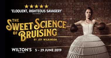 Free download The Sweet Science of Bruising video and edit with RedcoolMedia movie maker MovieStudio video editor online and AudioStudio audio editor onlin