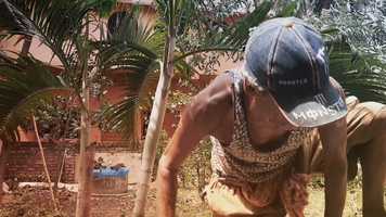 Free download THE TREE MEN (2020) | DOCUMENTARY | OFFICIAL TRAILER video and edit with RedcoolMedia movie maker MovieStudio video editor online and AudioStudio audio editor onlin