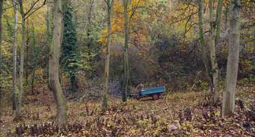 Free download THE TRUFFLE HUNTERS  Official Trailer (2020) video and edit with RedcoolMedia movie maker MovieStudio video editor online and AudioStudio audio editor onlin