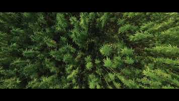 Free download The Underground of Hope Trailer video and edit with RedcoolMedia movie maker MovieStudio video editor online and AudioStudio audio editor onlin