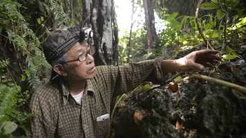 Free download The Unfinished Battle video and edit with RedcoolMedia movie maker MovieStudio video editor online and AudioStudio audio editor onlin