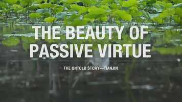 Free download The Untold Story Releases a Documentary on Prof. Ye Jiaying and Her Life of Poetry video and edit with RedcoolMedia movie maker MovieStudio video editor online and AudioStudio audio editor onlin