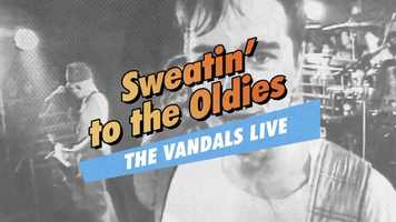 Free download The Vandals : Sweatin to the Oldies : Trailer video and edit with RedcoolMedia movie maker MovieStudio video editor online and AudioStudio audio editor onlin