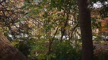 Free download The Visitation 2021 - excerpt.mov video and edit with RedcoolMedia movie maker MovieStudio video editor online and AudioStudio audio editor onlin