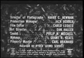 Free download The Wasp Women video and edit with RedcoolMedia movie maker MovieStudio video editor online and AudioStudio audio editor onlin