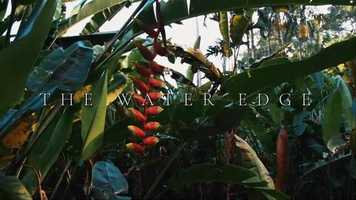 Free download The Water Edge video and edit with RedcoolMedia movie maker MovieStudio video editor online and AudioStudio audio editor onlin