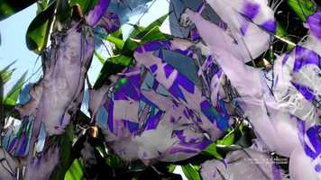 Free download The West Wind video and edit with RedcoolMedia movie maker MovieStudio video editor online and AudioStudio audio editor onlin