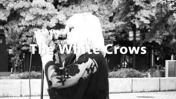 Free download The White Crows - BW video and edit with RedcoolMedia movie maker MovieStudio video editor online and AudioStudio audio editor onlin